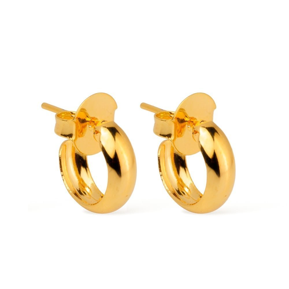 Brinco Argolinha Banhado a Ouro 24k